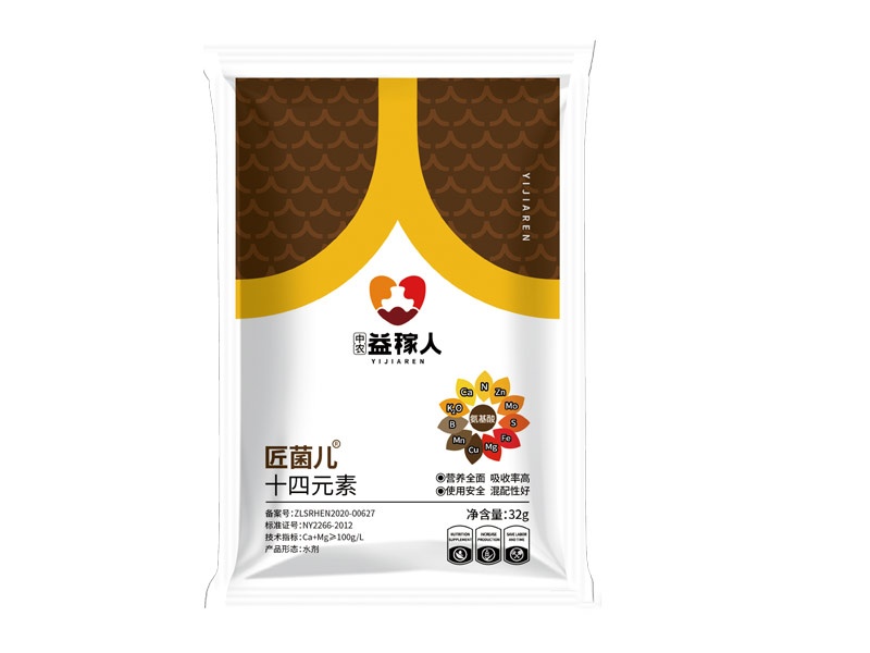 十四元素